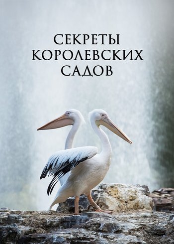 Сериал Секреты королевских садов 2022