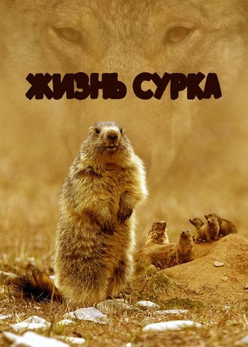 Фильм Жизнь сурка 2023