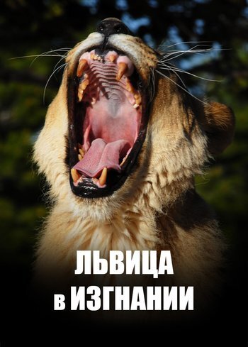 Фильм Львица в изгнании 2012