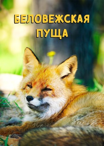 Фильм Беловежская Пуща 2025
