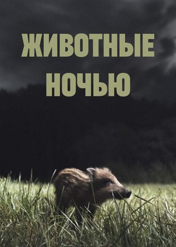 Movie Animals at Night 2017