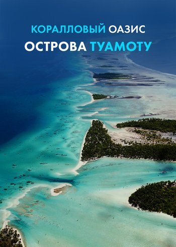 Фильм Коралловый оазис острова Туамоту 2025