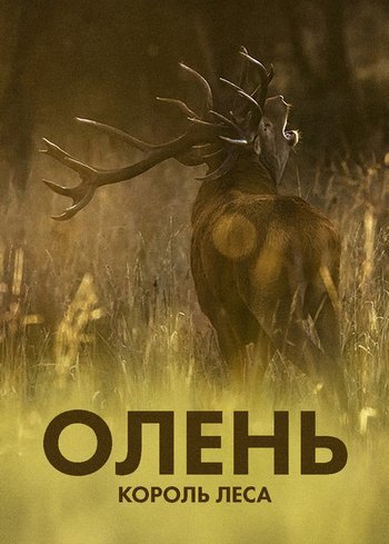 Фильм Олень — король леса 2022