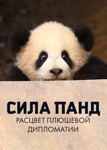 Сериал Сила панд: расцвет плюшевой дипломатии 2023