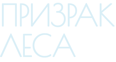 Призрак леса