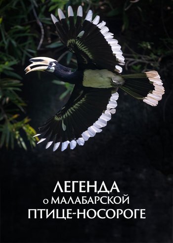 Фильм Легенда о малабарской птице-носороге 2024