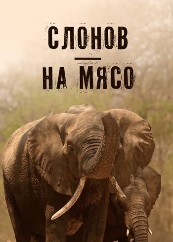 Фильм Слонов — на мясо 2025