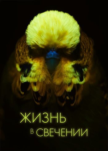 Сериал Жизнь в свечении 2025