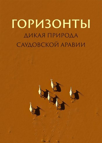 Фильм Горизонты: Дикая природа Саудовской Аравии 2024