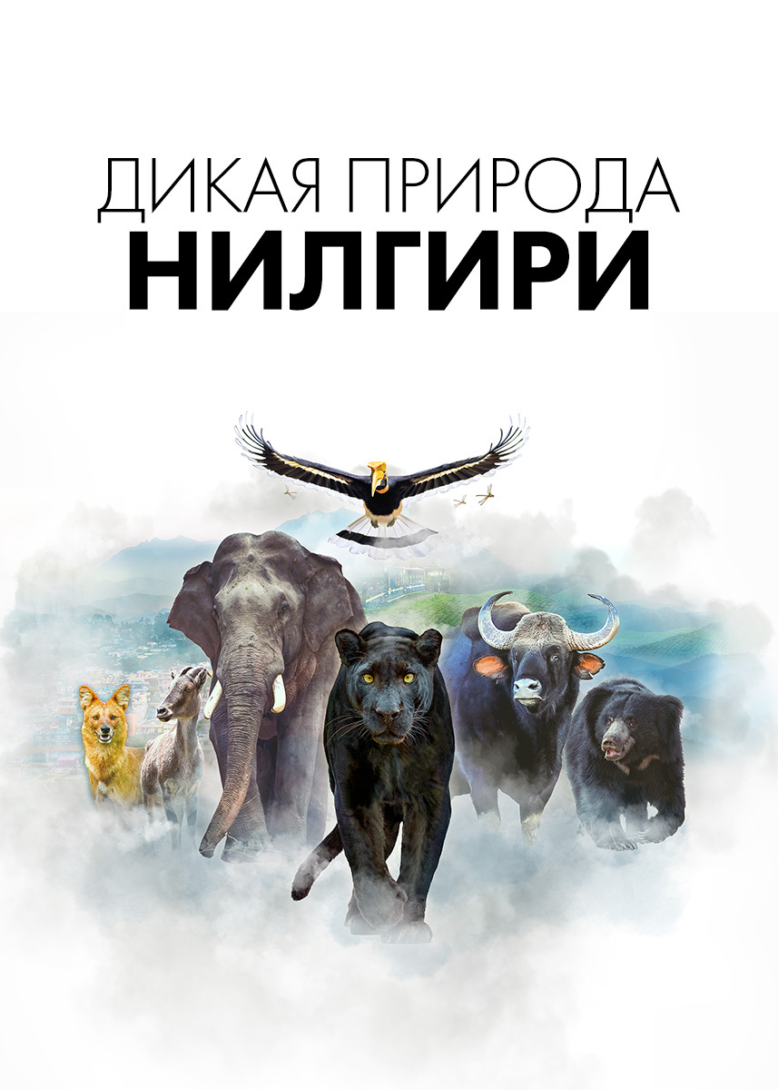 Фильм Дикая природа Нилгири 2024