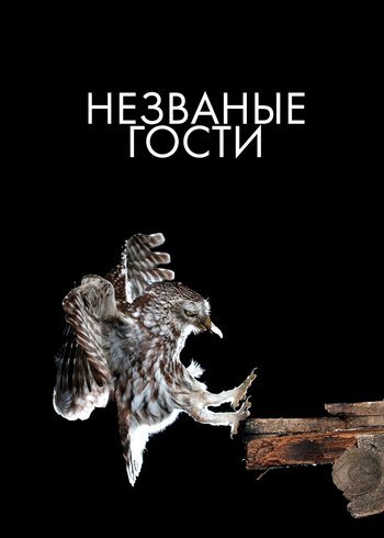 Фильм Незваные гости 2024