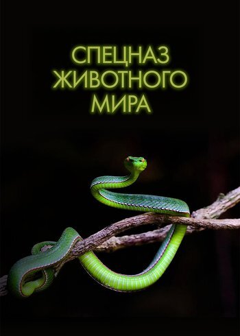 Сериал Спецназ животного мира 2018