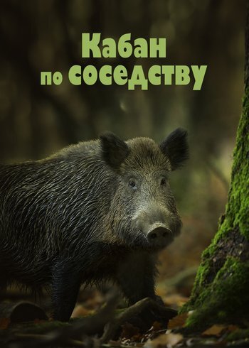 Movie The boar next door 2024