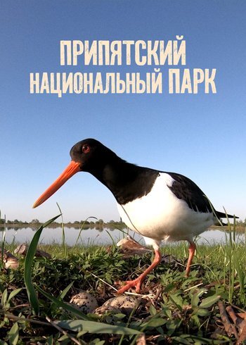 Фильм Припятский национальный парк 2025