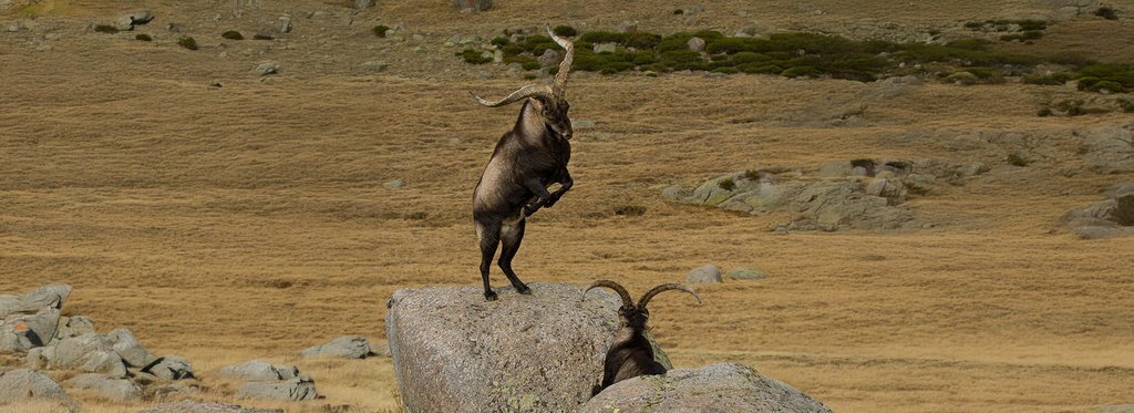 Постер фильма Иберия – земля страсти