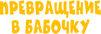 Превращение в бабочку