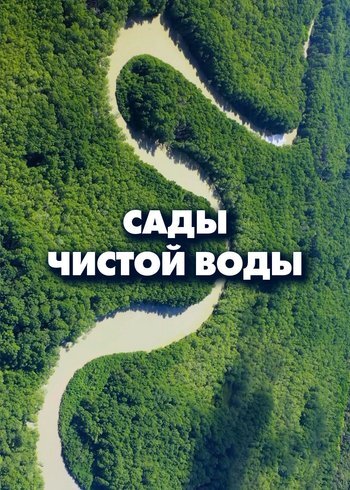 Сериал Сады чистой воды 2024