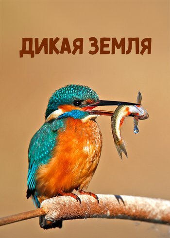 Series Wild Territory 2025