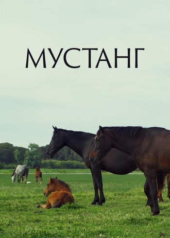Фильм Мустанг 2019