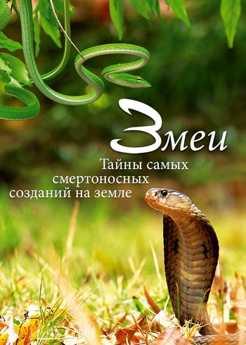 Фильм Змеи. Тайны самых смертоносных созданий на земле 2014