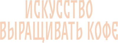 Искусство выращивать кофе
