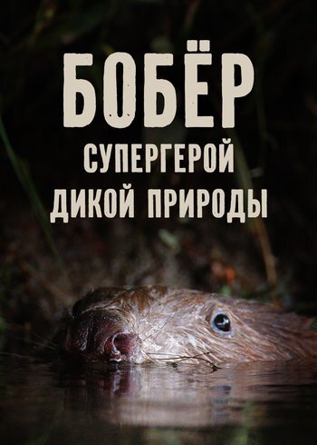Фильм Бобёр — супергерой дикой природы 2023