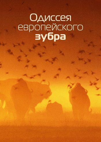 Movie European Bison: An Odyssey 2022