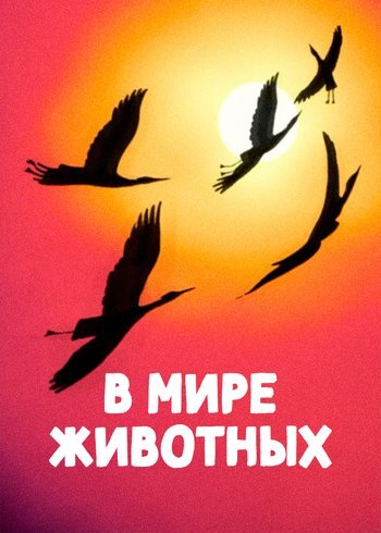 Сериал В мире животных 2018