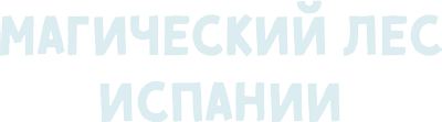 Магический лес Испании