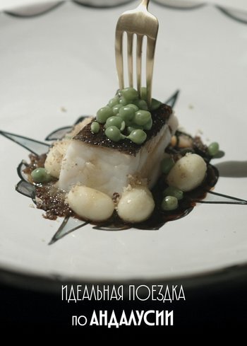 Сериал Идеальная поездка по Андалусии 2016