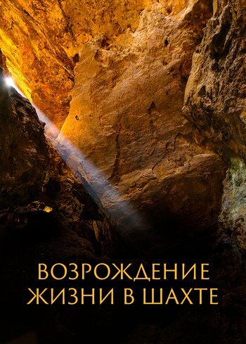 Фильм Возрождение жизни в шахте 2021