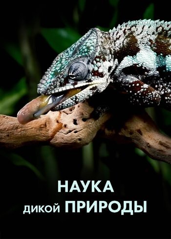Сериал Наука дикой природы 2024