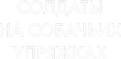Солдаты на собачьих упряжках