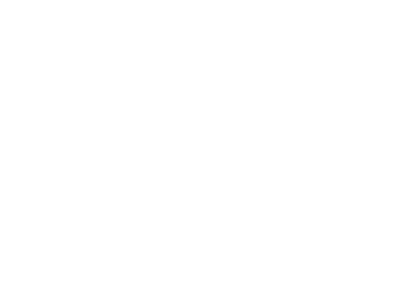 Гномы. Новогодний беспредел