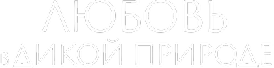 Любовь в дикой природе