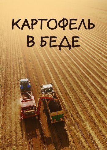 Фильм Картофель в беде 2024