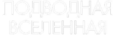 Подводная вселенная