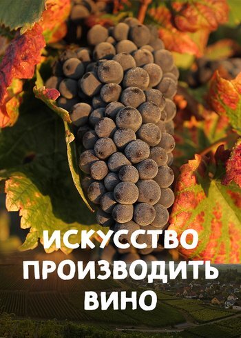 Фильм Искусство производить вино 2016