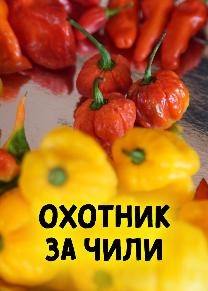 Сериал Охотник за чили 2017
