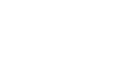 Ип Ман: Мастер кунг-фу